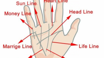 Meaning Of 3 Lines on Your Palm Instead of 4