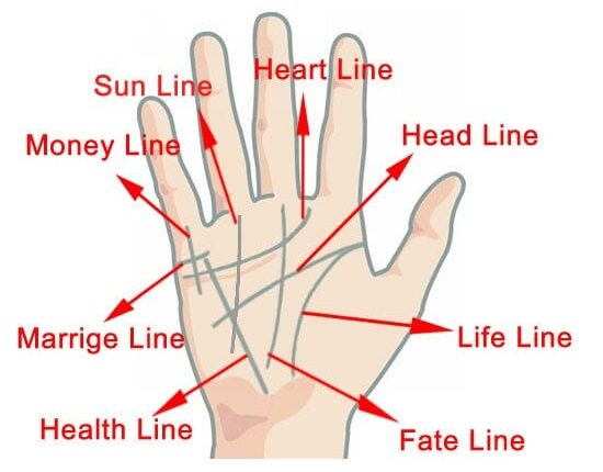 Meaning Of 3 Lines on Your Palm Instead of 4
