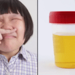 Here Is Why Your Urine Unusually Odorous, And The Effect On Your Body