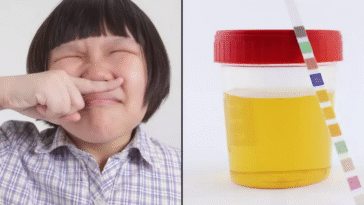 Here Is Why Your Urine Unusually Odorous, And The Effect On Your Body