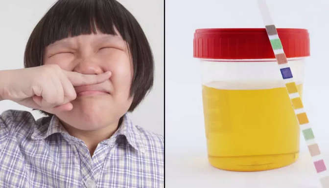 Here Is Why Your Urine Unusually Odorous, And The Effect On Your Body