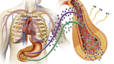 Impact of Fasting on Diabetes; Potential Effects on Your Body