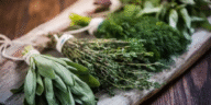 Six Herbs That You Can Use For Winter Beauty Care, Full List