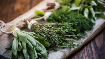 Six Herbs That You Can Use For Winter Beauty Care, Full List