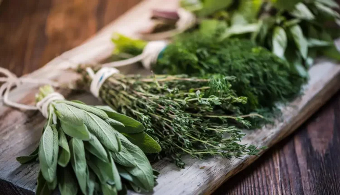 Six Herbs That You Can Use For Winter Beauty Care, Full List