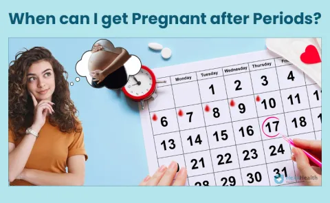Understanding the Menstrual Cycle: How Soon Can a Woman Get Pregnant After Her Period?