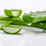 Ways To Use Aloe Vera For Spiritual Benefit and Reveal Your Destiny