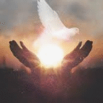 If You See These 4 Signs Its Means The Holy Spirit Is Trying to Contact You