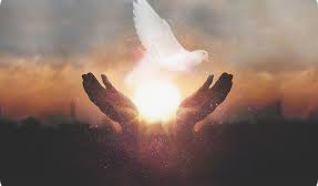 If You See These 4 Signs Its Means The Holy Spirit Is Trying to Contact You