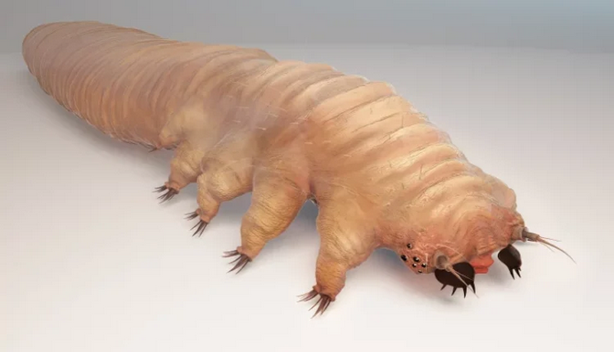 Tiny Monsters Causes Loss of Appetite In Your Stomachs