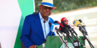 Abuja Rich Men Who Don’t Want To Pay Taxes, I Will Touch Them -Wike