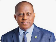 Tinubu’s Midterm: Rethinking Nigeria’s Economic Path, Inflation & Forex Stability