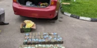By-election Police, DSS Arrest Man with ₦25m for Vote-Buying in Kaduna