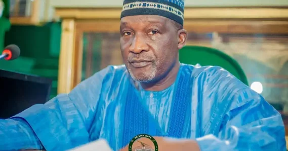 "Banditry Has Rendered Farms Inaccessible"- Katsina Lawmaker Laments