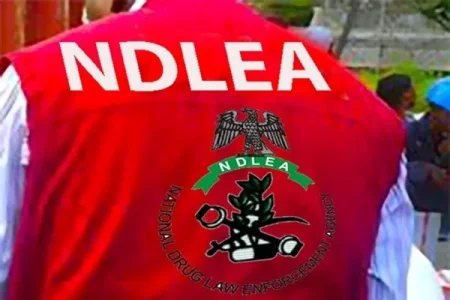 NDLEA Busts Syndicate Behind Nigerians, Arrest 55 year-old Drug Kingpin 'Saudi Arrest