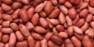 Seven (7) Benefits Of Groundnuts