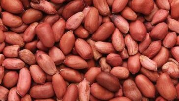 Seven (7) Benefits Of Groundnuts