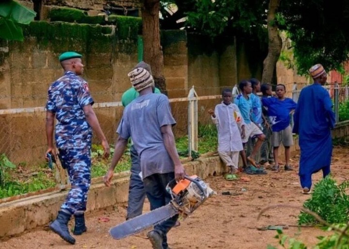 Police Arrests Suspects For Illegal Tree Felling In Kano