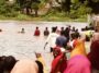 Residents Laments As Heavy Rainfall Destroys Several Homes In Yobe (PHOTOS)