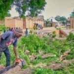 Police Arrests Suspects For Illegal Tree Felling In Kano