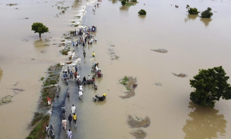 Red Alert: FG Issues Fresh Warning Over Heavy Flooding in 15 Northern States