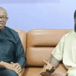 "You Don’t Need a Long Term to Achieve Lasting Change" - Dele Farotimi Backs Peter Obi’s one-term Presidency Pledge