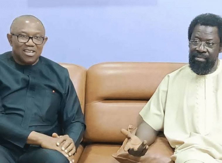 "You Don’t Need a Long Term to Achieve Lasting Change" - Dele Farotimi Backs Peter Obi’s one-term Presidency Pledge