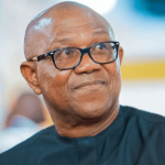 Arewa Group Blast Peter Obi On Promise Of One Term Before Election