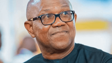 Arewa Group Blast Peter Obi On Promise Of One Term Before Election