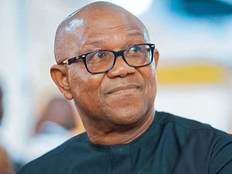 Arewa Group Blast Peter Obi On Promise Of One Term Before Election