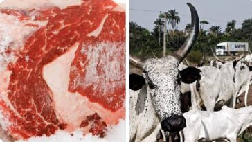 Niger To Stop Direct Supply Of Live Cows To Lagos, Ogun — Gov Bago