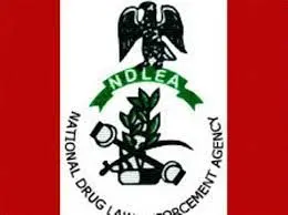 NDLEA Convicted And Sentenced 2 Drug Kingpins Emami, Akpomuai To 10 Years Imprisonment