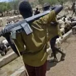 JUST-IN: Herdsmen Stormed Imo Community Kill 3, Abduct 2 In Fresh Night Raid