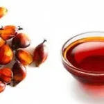 FG Targets N2.41trn Palm Oil Output As Imports Slump 77%