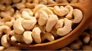 Cashew Nuts: Improved Production Boosts Nigeria’s Earnings By 81% To N1trn