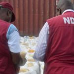 National Drug Law Enforcement Agency (NDLEA) Arrest Man With 8,000 Bottles Of Akuskura, 48 Cannabis Blocks In kano