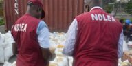 National Drug Law Enforcement Agency (NDLEA) Arrest Man With 8,000 Bottles Of Akuskura, 48 Cannabis Blocks In kano