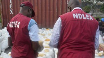 National Drug Law Enforcement Agency (NDLEA) Arrest Man With 8,000 Bottles Of Akuskura, 48 Cannabis Blocks In kano