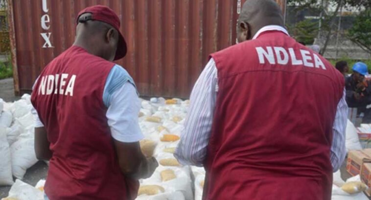 National Drug Law Enforcement Agency (NDLEA) Arrest Man With 8,000 Bottles Of Akuskura, 48 Cannabis Blocks In kano