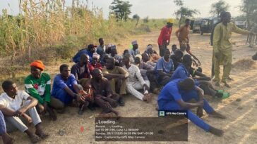 BREAKING: Nigerian Troops Rescue 86 Kidnapped Victims, Destroy Terrorist Camp in Borno