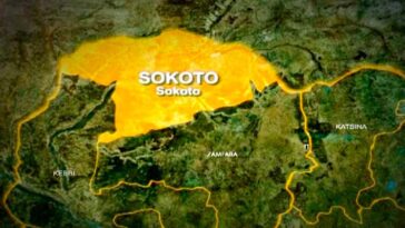 Sokoto Dengue Fever Outbreak: Health Officials Confirm 8 Cases
