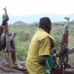 Tension In Katsina As Bandits Impose ₦20 Million Tax On Local Farmers