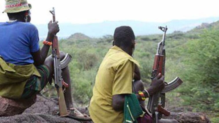 Tension In Katsina As Bandits Impose ₦20 Million Tax On Local Farmers