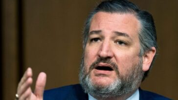 US Senator Accuses Tinubu Government of Covering Up Christian Persecution Amid Media Propaganda in Nigeria