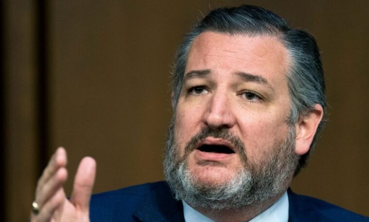 US Senator Accuses Tinubu Government of Covering Up Christian Persecution Amid Media Propaganda in Nigeria