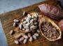 Flavanols in Cocoa Boost Blood Flow