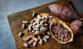 Flavanols in Cocoa Boost Blood Flow
