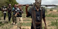 BREAKING: Bandits Kill 16 Vigilante Members, Abduct 42 Residents in Niger State Attack