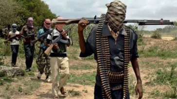 BREAKING: Bandits Kill 16 Vigilante Members, Abduct 42 Residents in Niger State Attack