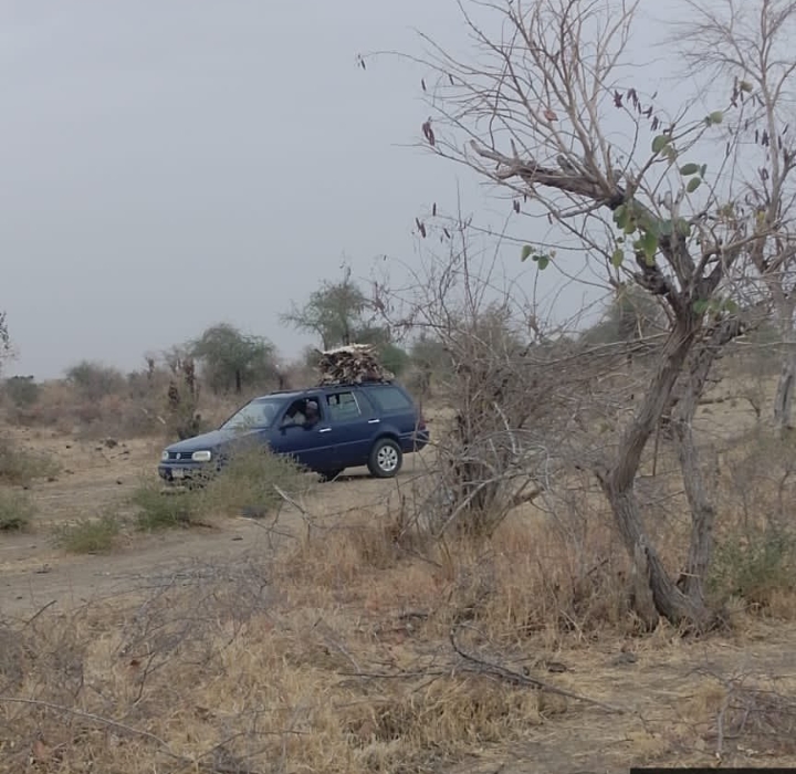 Troops Rescue 157 Civilians, Foil ISWAP Abduction In Borno